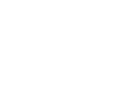 Logo Footer